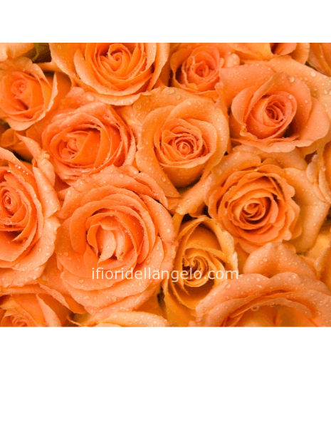 Rose arancio misura media 50 cm