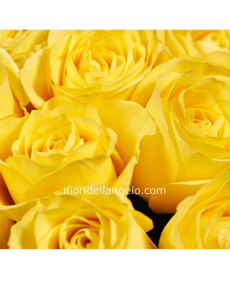 Rose gialle a steli, prima scelta, lunghezza 50 cm
