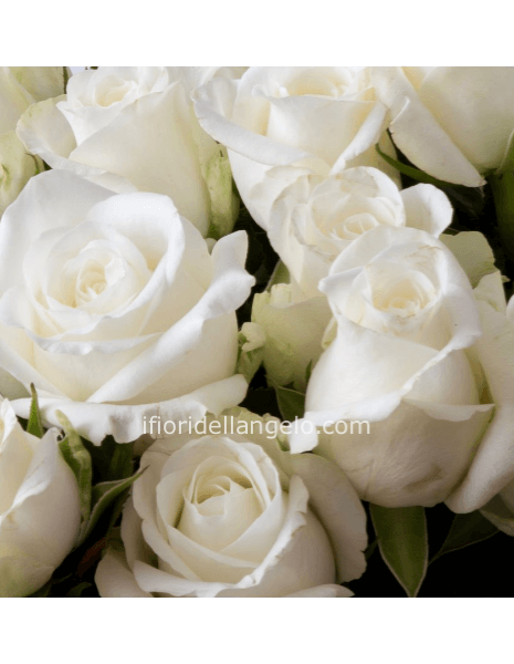Rose bianche a steli, prima scelta, lunghezza 50 cm.