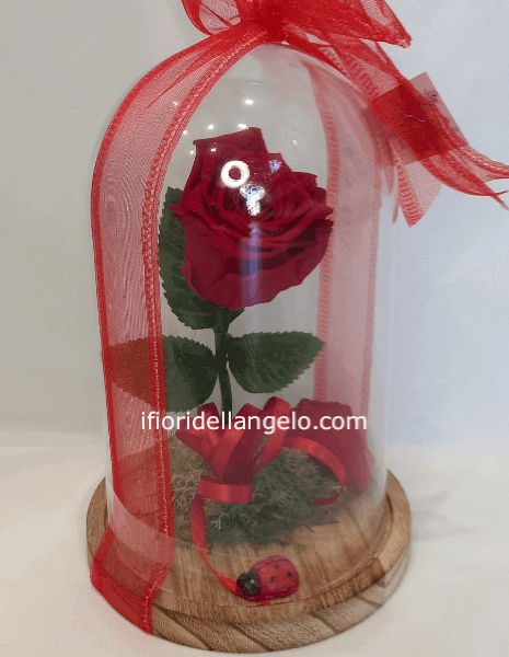 CAMPANA ROSA ROSSA