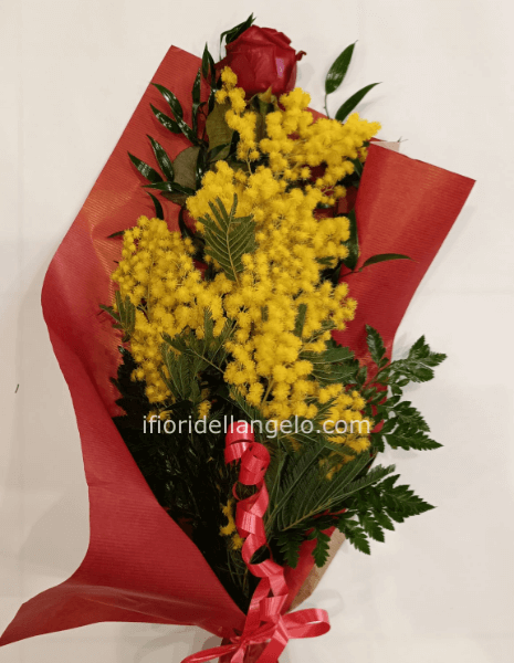 ROSA ROSSA CON MIMOSA