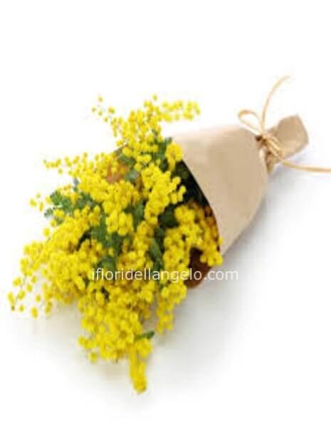 MINI BOUQUET DI MIMOSA